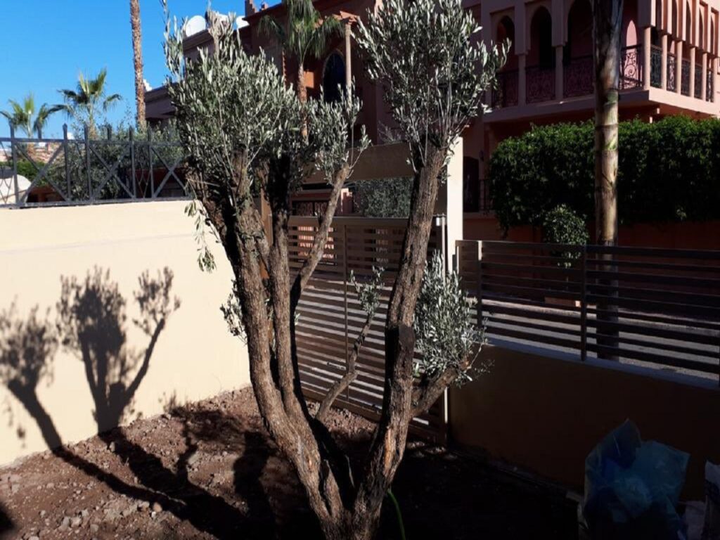 petite villa marrakech pas cher à vendre 11
