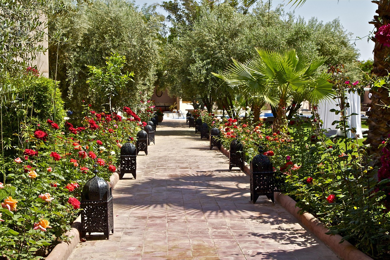 Rue résidentielle bordée de palmiers à Marrakech, quartier prisé pour acheter un terrain