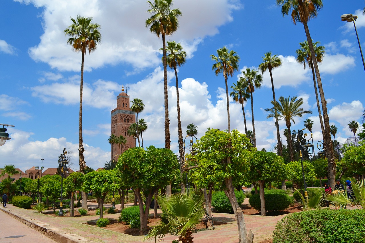 Rue résidentielle bordée de palmiers à Marrakech, quartier recherché pour acheter une villa