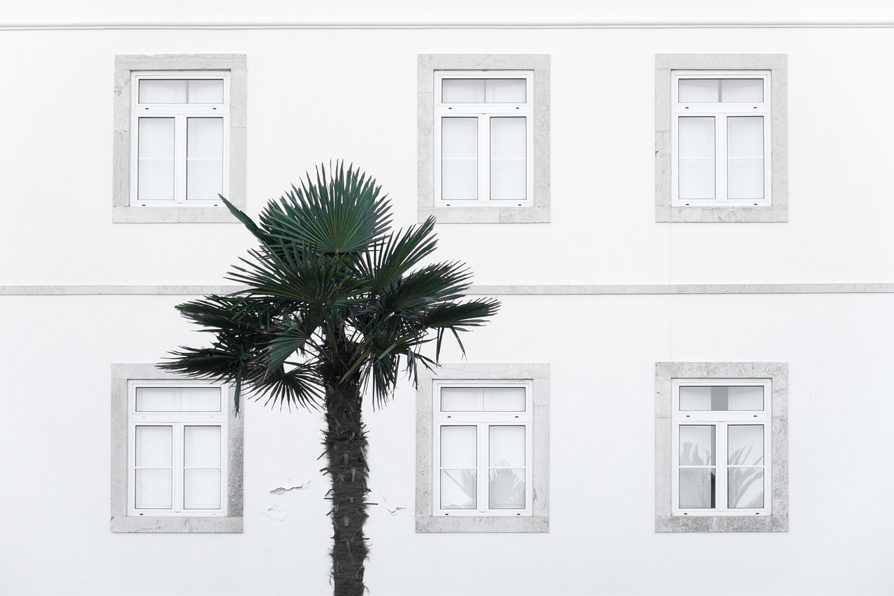 Jardin et terrasse d'une maison entourée de palmiers à Marrakech, près de la piscine